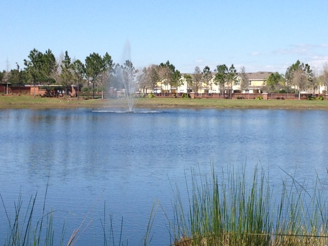927 Spring Harvest Ct in Orlando, FL - Building Photo - Building Photo