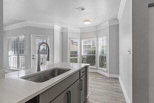 Solano at Chapel Hill