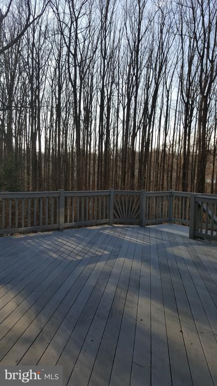 7425 Dulany Dr in McLean, VA - Building Photo - Building Photo