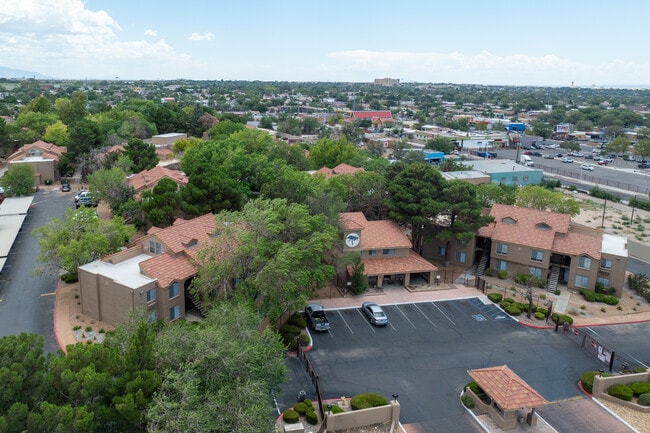 Cinnamon Tree in Albuquerque, NM - Building Photo - Building Photo