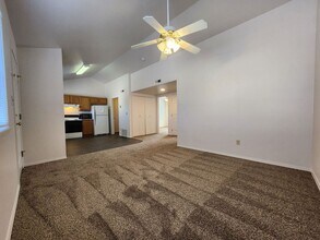 6655 Dublin Loop W in Colorado Springs, CO - Building Photo - Building Photo