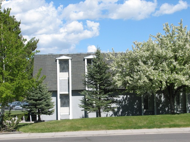 The Falls Apartments in Twin Falls, ID - Building Photo - Building Photo