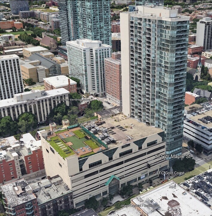 111 W Maple St in Chicago, IL - Building Photo
