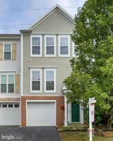 44102 Tippecanoe Terrace in Ashburn, VA - Building Photo