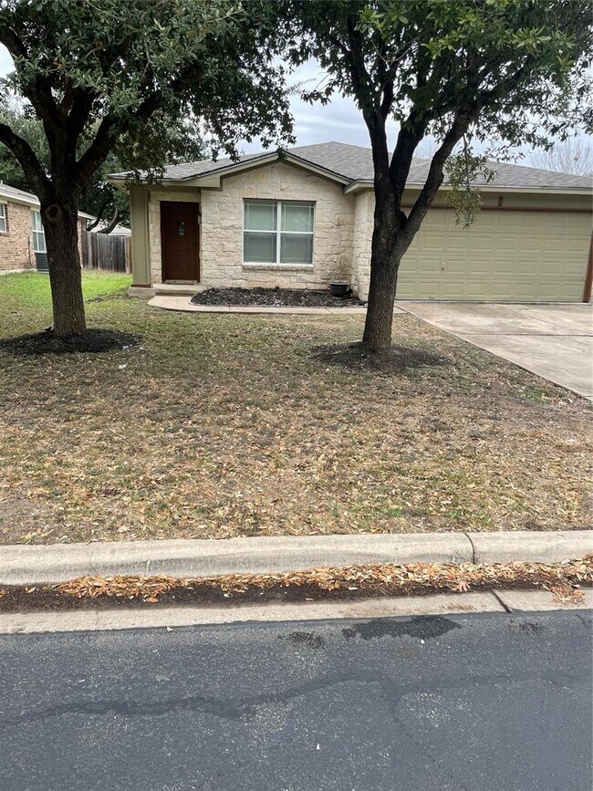 209 Peaceful Haven Way in Hutto, TX - Building Photo - Building Photo