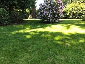 14411 NE 10th Pl in Bellevue, WA - Building Photo - Building Photo