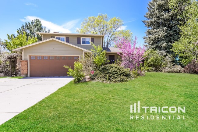 property at 513 Palisade Mountain Dr
