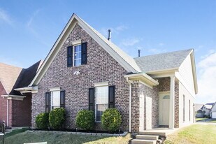 6799 Showboat Ln in Cordova, TN - Building Photo