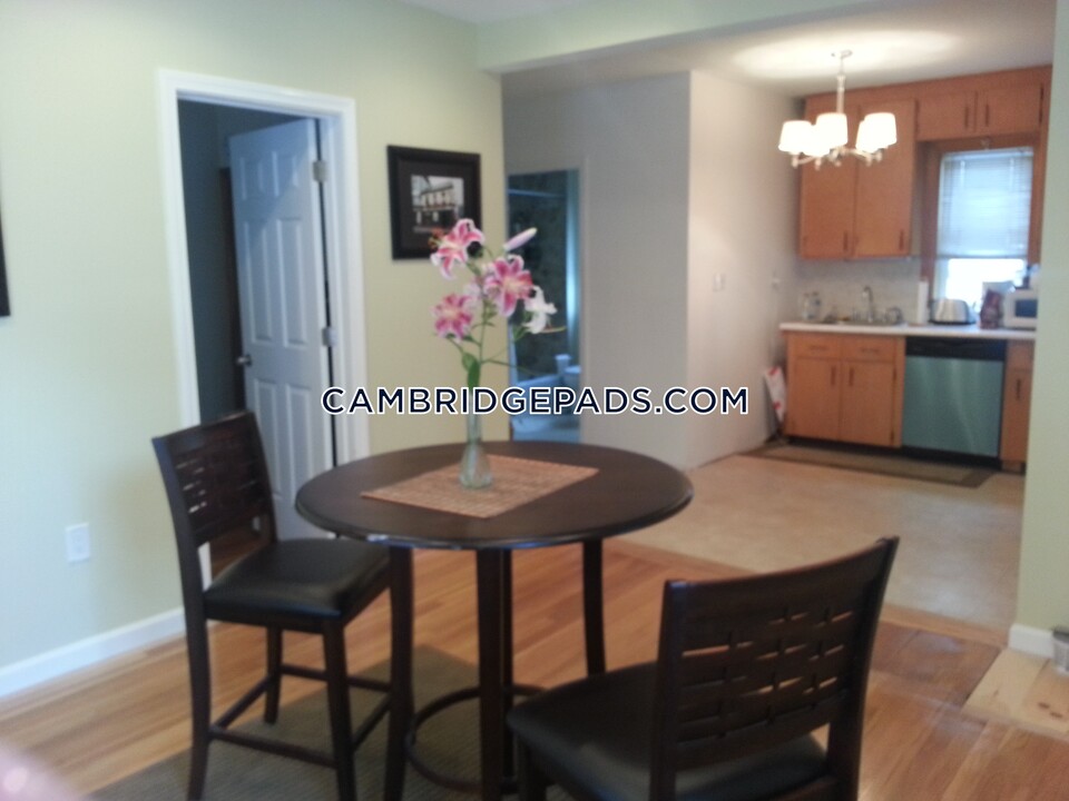 19 Brookline St in Cambridge, MA - Building Photo