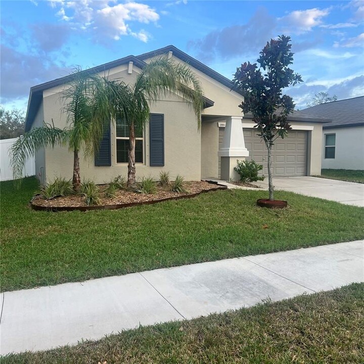 13355 Willow Bluestar Lp in Riverview, FL - Building Photo