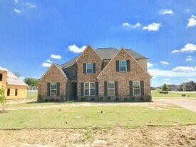 8602 Tanasi Cv in Olive Branch, MS - Building Photo
