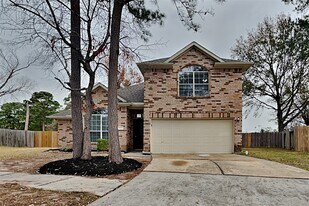 9102 Colony Cove Dr in Spring, TX - Building Photo