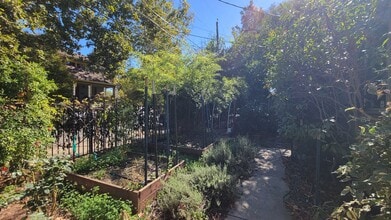 3116 San Carlos Way in Sacramento, CA - Foto de edificio - Building Photo