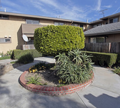 8361 Garden Grove Blvd in Garden Grove, CA - Foto de edificio - Building Photo