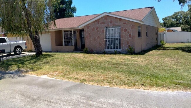 8808 Sleepy Creek Ct in Tampa, FL - Building Photo - Building Photo