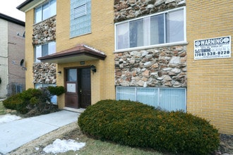 10482 Ethel Ct in Rosemont, IL - Foto de edificio - Building Photo