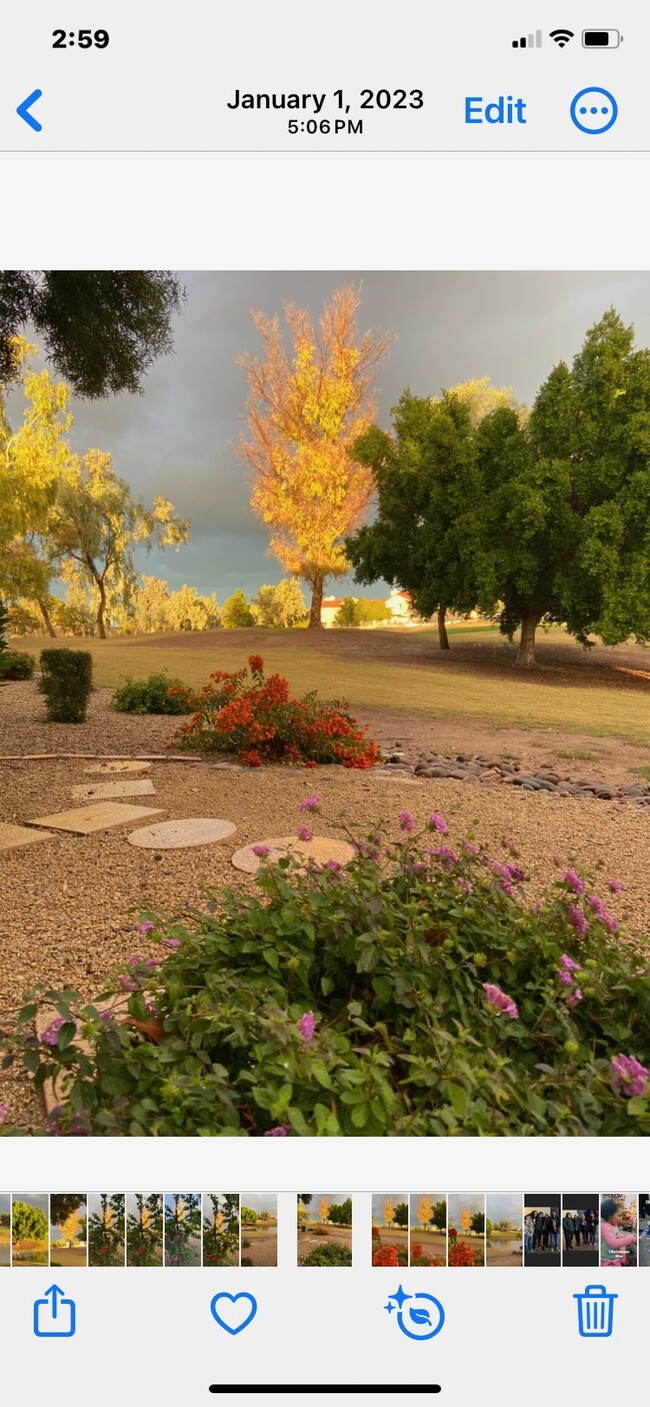 7101 W Beardsley Rd, Unit 211 in Glendale, AZ - Building Photo - Building Photo