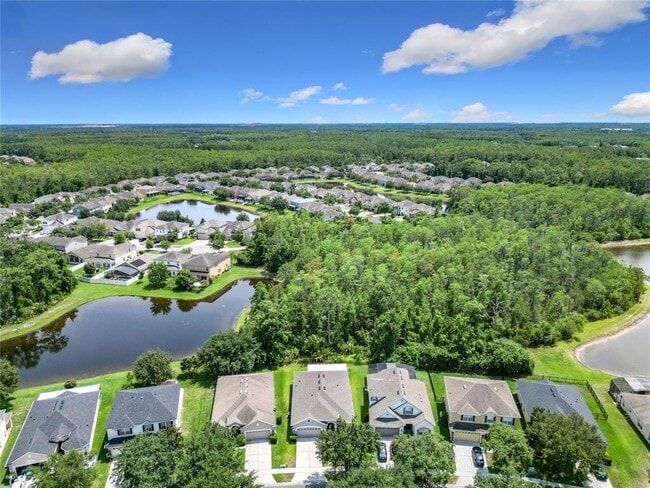 10875 Arbor View Blvd in Orlando, FL - Building Photo - Building Photo