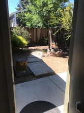 7111 Rosanna St in Gilroy, CA - Building Photo - Building Photo