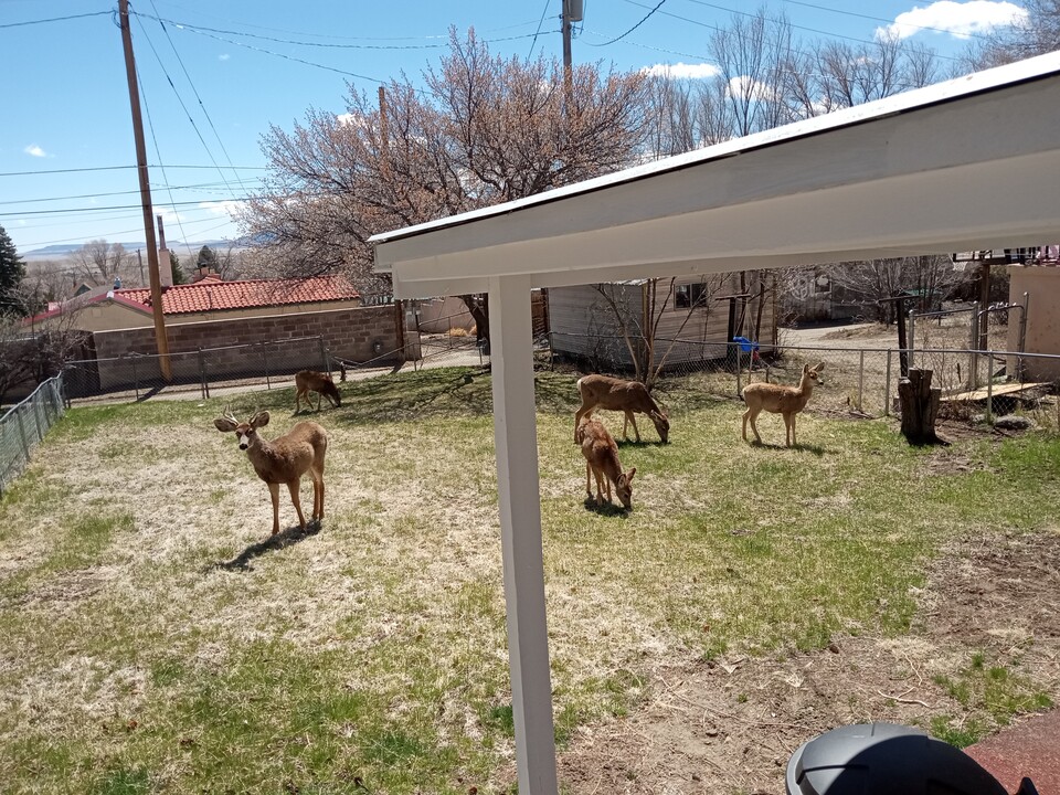913 S 6th St in Raton, NM - Building Photo