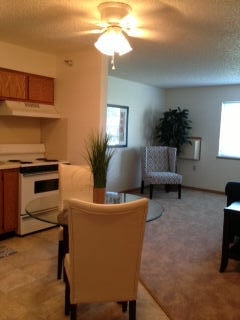 Elburn Meadows in Elburn, IL - Building Photo - Building Photo