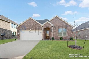 3016 Riddler Wy in Little Elm, TX - Building Photo