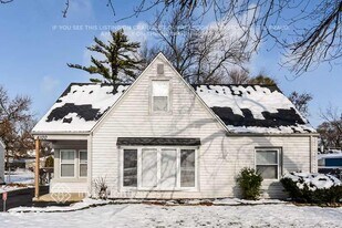 4100 W 99th Pl in Oak Lawn, IL - Building Photo