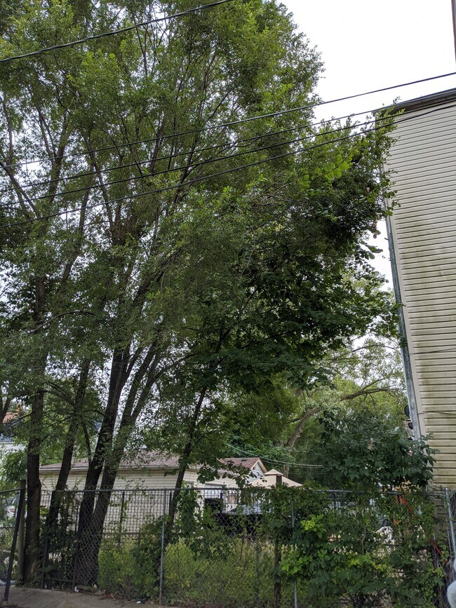 5321 S Damen Ave in Chicago, IL - Building Photo - Building Photo