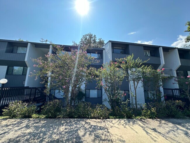 2816 SW 14th Dr in Gainesville, FL - Foto de edificio - Building Photo