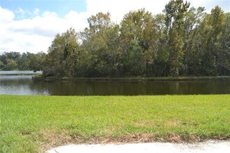 4226 Winding River Way in Land O Lakes, FL - Foto de edificio - Building Photo