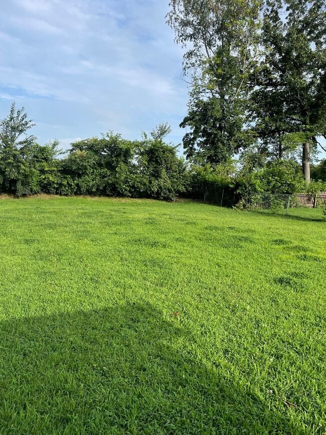 3335 S Senseney Cir in Clarksville, TN - Building Photo - Building Photo