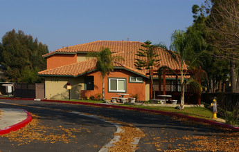 Palmas Del Sol in Escondido, CA - Building Photo - Building Photo