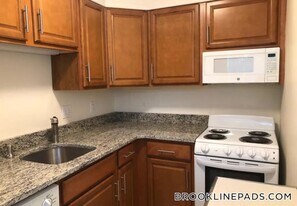 59 Parkman St in Brookline, MA - Building Photo