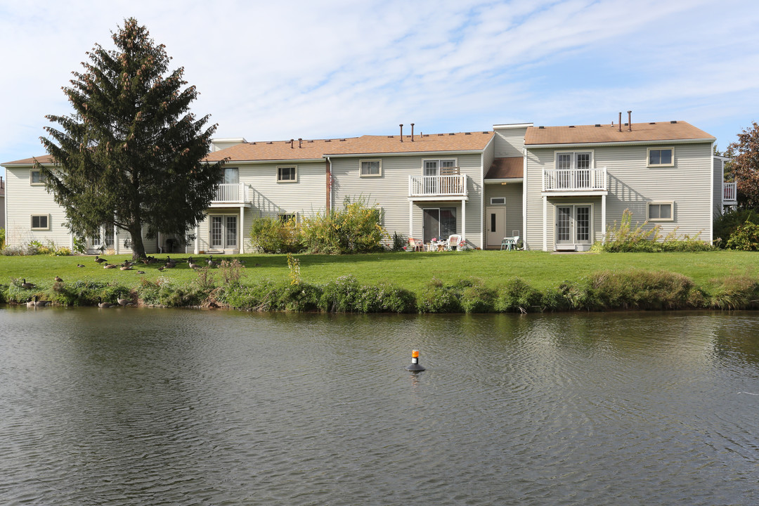 Springlake Apartments & Townhouses in Rochester, NY - Building Photo