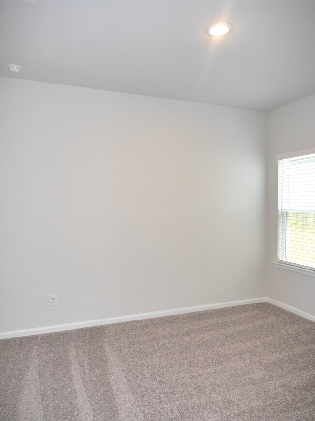 property at 16839 Bristle Cone Wy