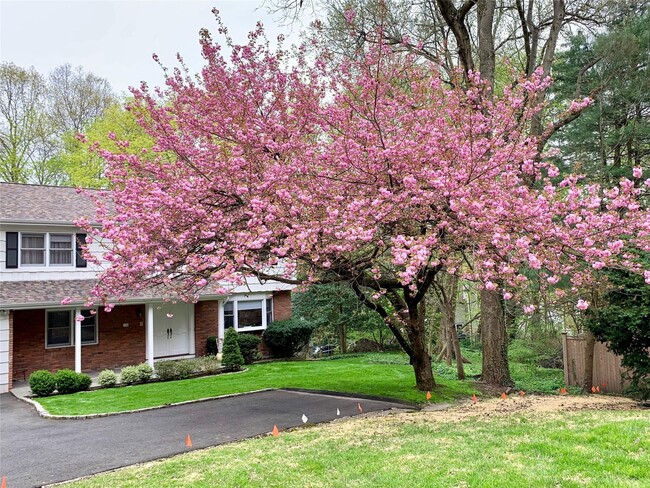 19 Stanwich Rd in Greenwich, CT - Building Photo - Building Photo