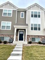 217 Goldenrod Dr in Elgin, IL - Building Photo