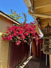 1191 Birch Ave, Unit 3 in Seaside, CA - Foto de edificio - Building Photo