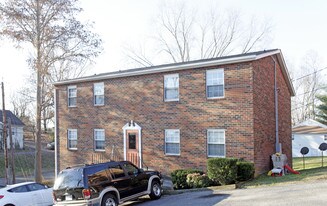 301 Dahlia Dr in Knoxville, TN - Building Photo