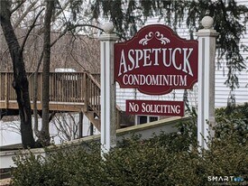 142 Aspetuck Vlg in New Milford, CT - Building Photo