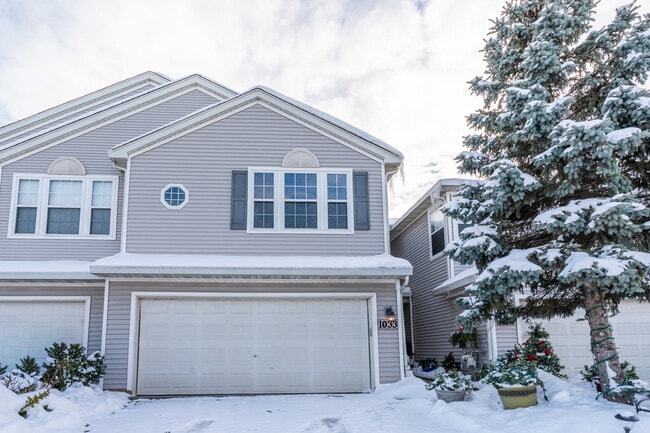 1033 Key Largo Dr in Romeoville, IL - Building Photo - Building Photo