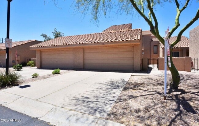 1642 N El Camino in Tempe, AZ - Building Photo - Building Photo