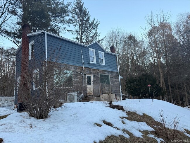 68 Corrigan Rd in Liberty, NY - Building Photo - Building Photo