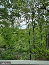 346 Spitz Ln in Basye, VA - Building Photo - Building Photo