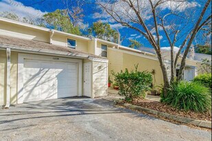 11239 Cedar Hollow Ln in Tampa, FL - Building Photo