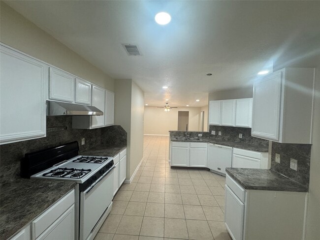 19607 Swan Valley Dr