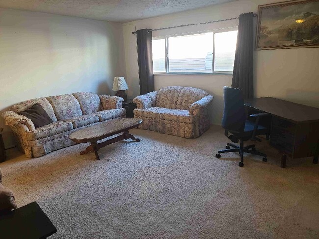 property at 248 Dale Dr