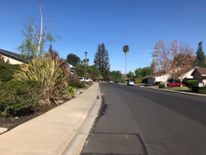 2551 Lavender Dr in Walnut Creek, CA - Foto de edificio - Building Photo