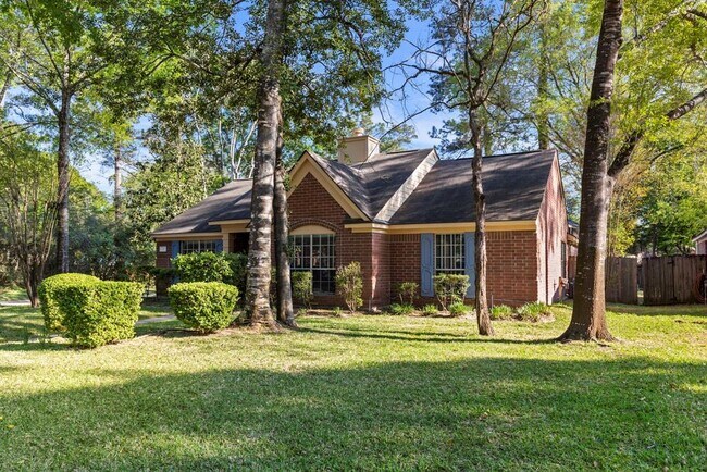 62 S Dreamweaver Cir in Spring, TX - Building Photo - Building Photo