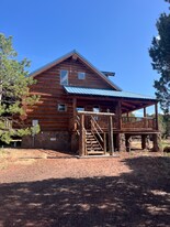 236 Co Rd 3144 in Show Low, AZ - Building Photo